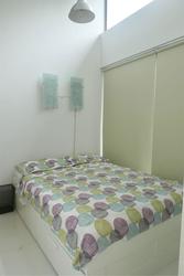 Loft @ Holland (D10), Apartment #181387122